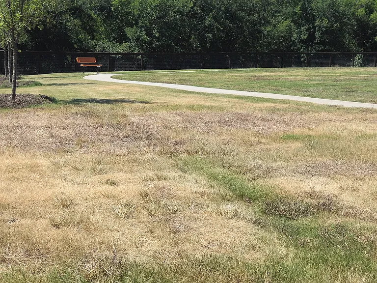 Dog Park