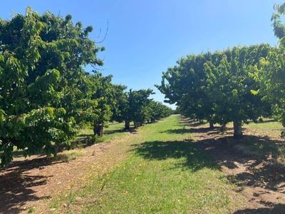 17980 E Milton Rd, Linden, CA, 95236