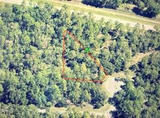 9818 N Lily Dr, Citrus Springs, FL 34434