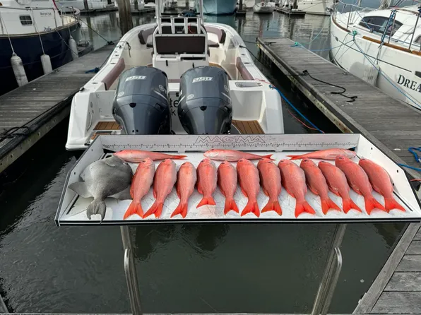 1880 Andell Bluff Blvd #E-19, Johns Island, SC 29455