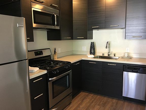 Gas Range and Stainless Appliances