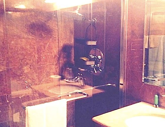 4th image of 292 W 137th St #4