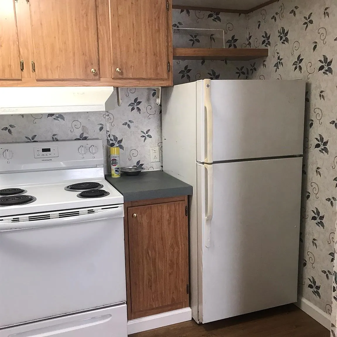 2 bed, 1.0 bath, 840 sqft, $1,000 — Photo 3