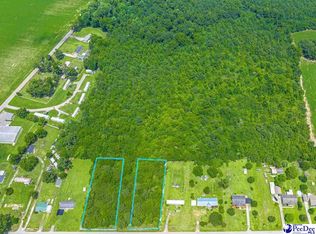 Tbd Black Branch Rd, Dillon, SC 29536