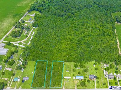 Tbd Black Branch Rd, Dillon, SC, 29536