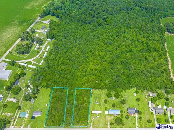 Tbd Black Branch Rd, Dillon, SC 29536