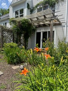 20 Salem Pl #20, Amherst, MA, 01002