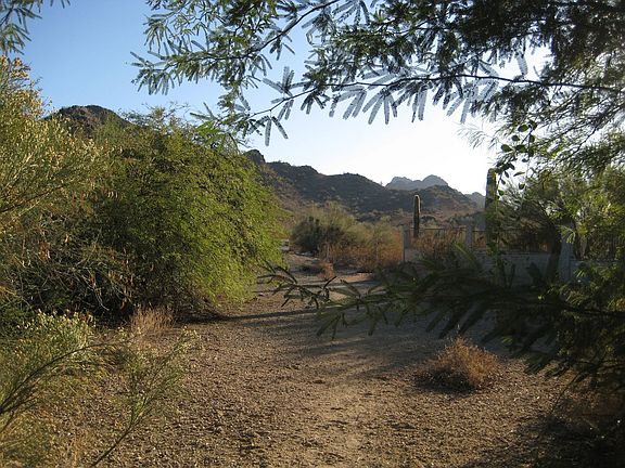 Borders Phx Mtn. Preserve!