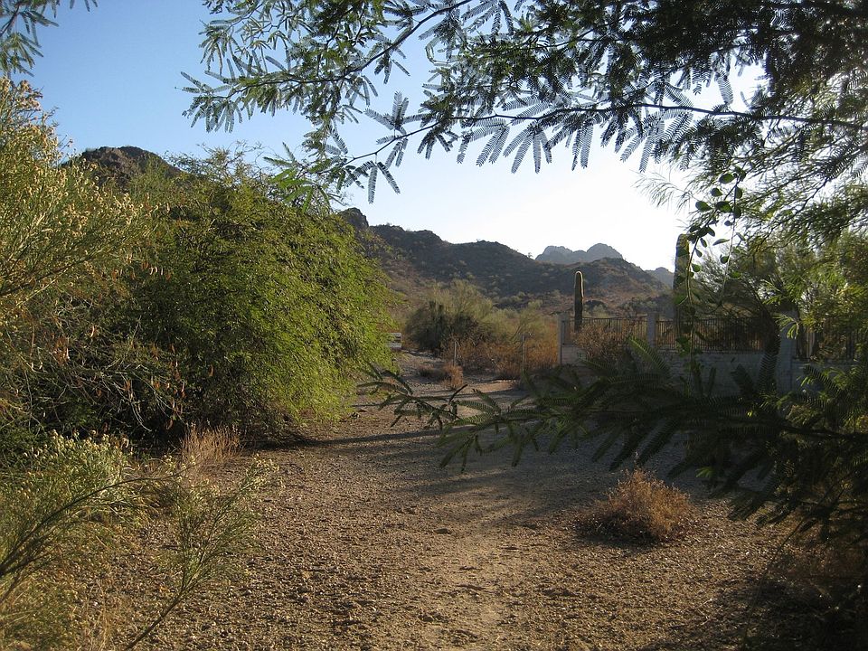 Borders Phx Mtn. Preserve!