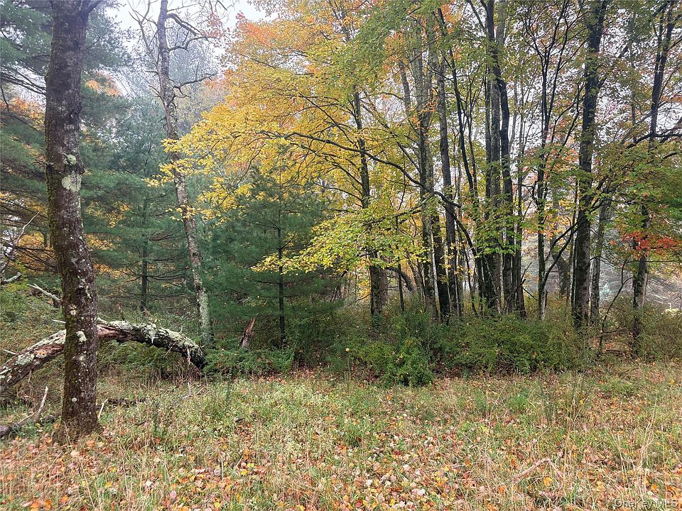 2nd image of Horseshoe Lake Road