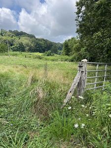 667 Georges Creek Rd, Gallipolis, OH, 45631