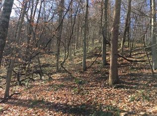 76 Expendable Ln, Summersville, WV 26651