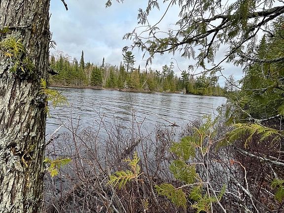 3rd image of XXX S Tom Lake Rd Lot 5 Tom Lake Estates