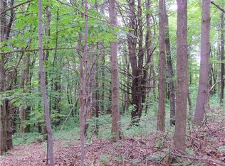 0 Strong Hill Rd, Naples, NY 14512