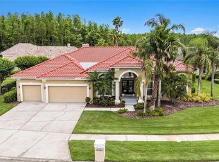 19107 Avenue Bayonnes, Lutz, FL 33558