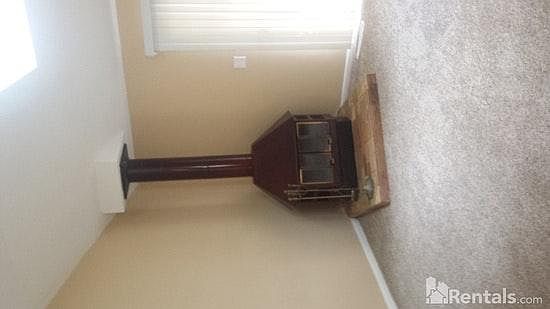 Wood Burning fire place