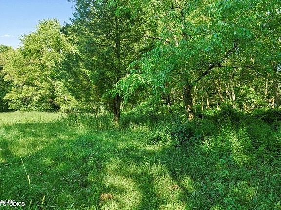 3rd image of Meadow Dr