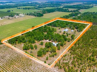 11767 196th St, Mc Alpin, FL 32062