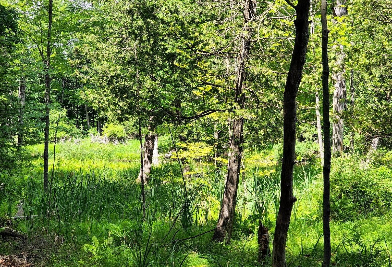 9750 Stony Creek Ct, Stanwood, MI 49346 MLS 22027115 Zillow