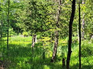 9750 Stony Creek Ct, Stanwood, MI 49346