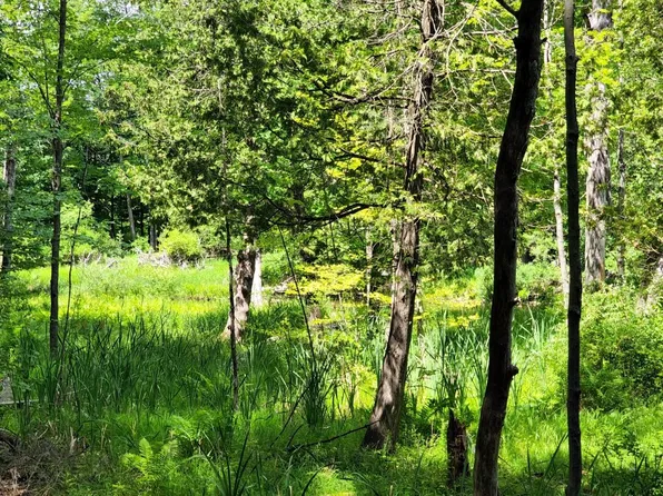 9750 Stony Creek Ct, Stanwood, MI 49346
