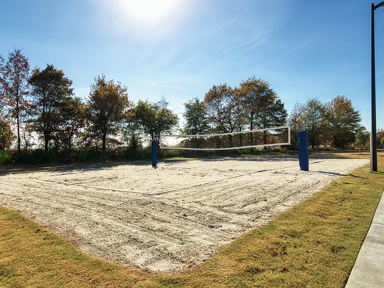 Volleyball court