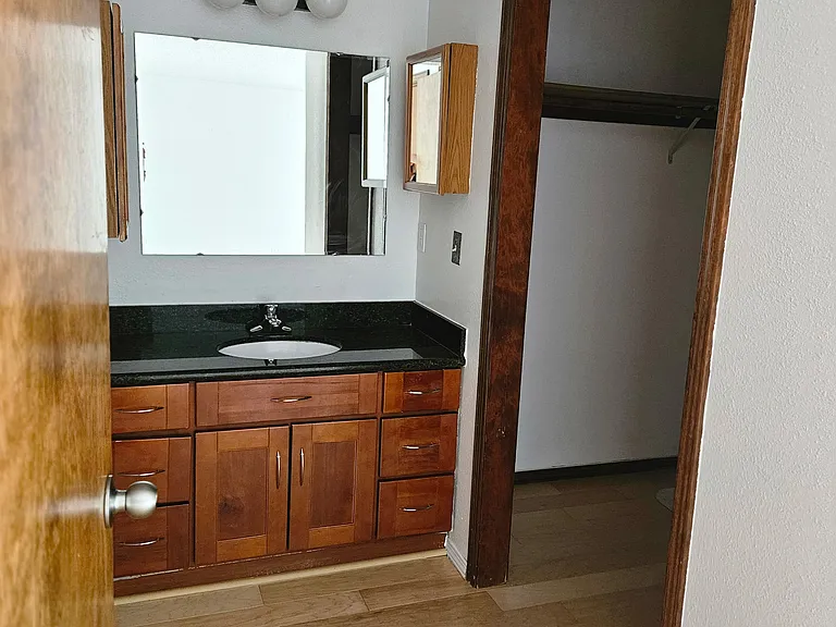 Primary Bedroom- Walk-in Closet and Sink