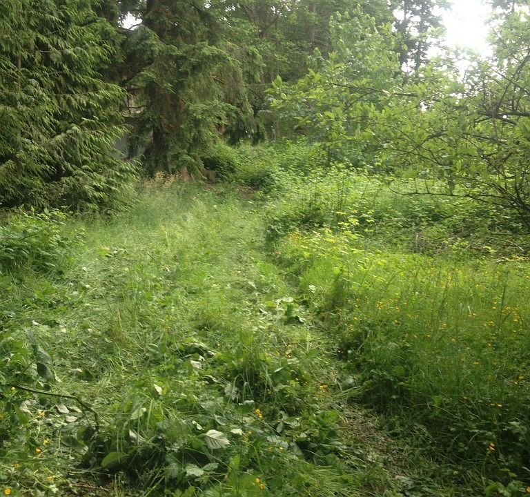 1st image of 14315 106th StCt KPN