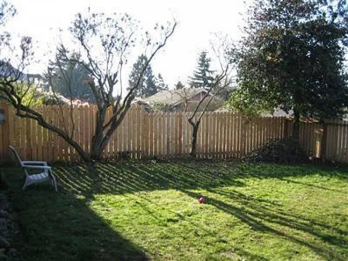 Fenced back yard