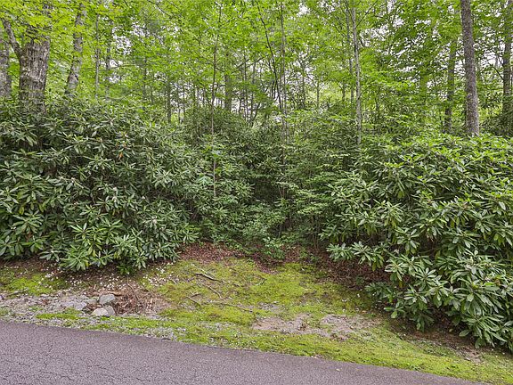 5th image of Lot 10B Streamside Drive