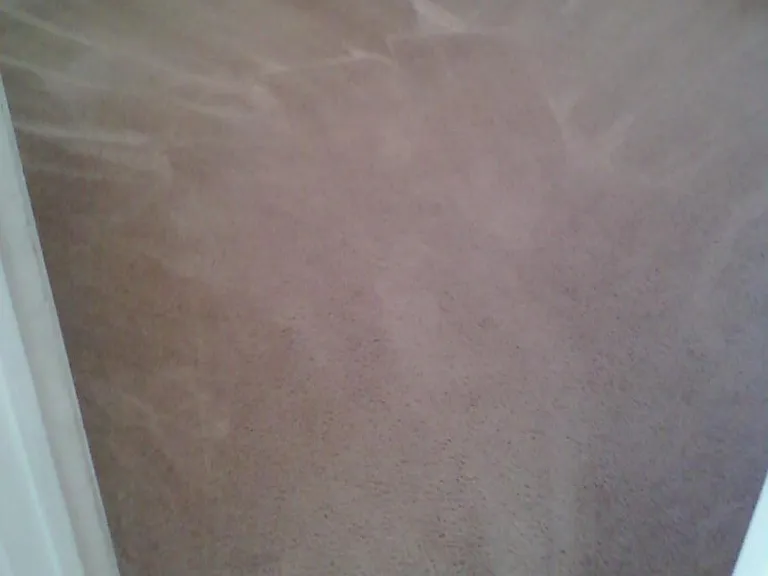 largest bedroom carpet
