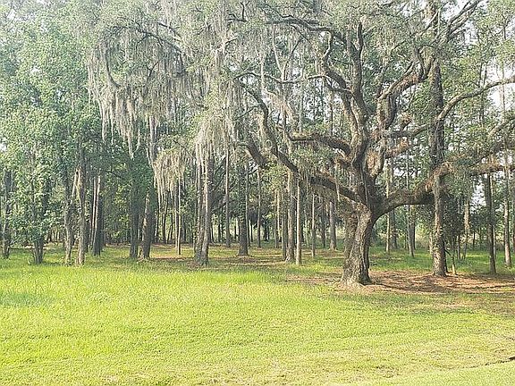 2nd image of 1542 Telfair Plantation Dr