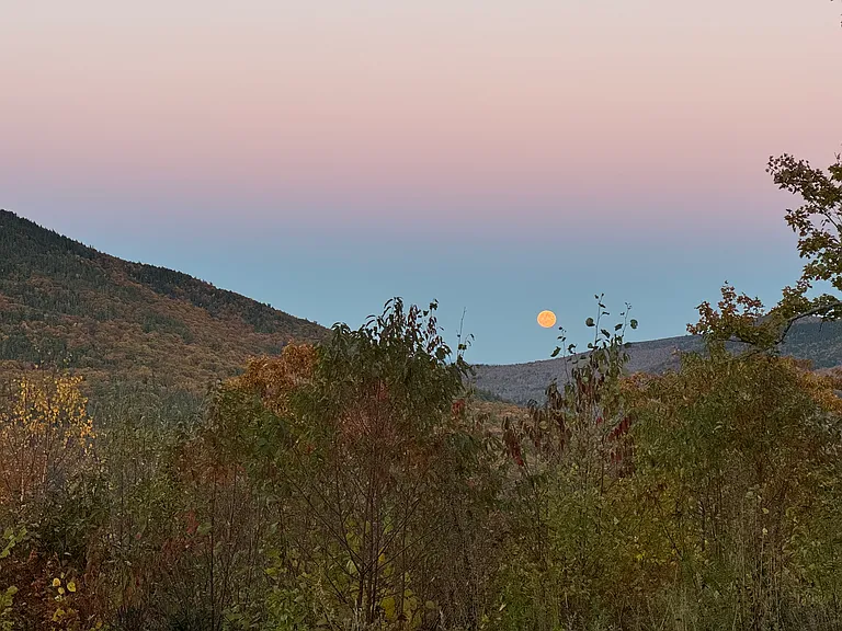 7 Middle Mountain Trl — Photo 24