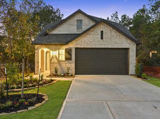 264 Sky Top Dr, Montgomery, TX 77316