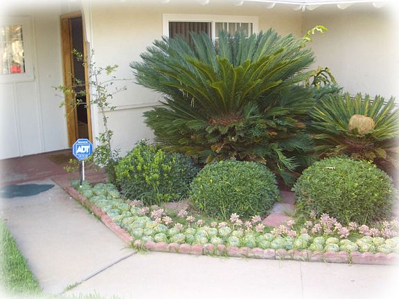 3rd image of 3707 Stichman Ave