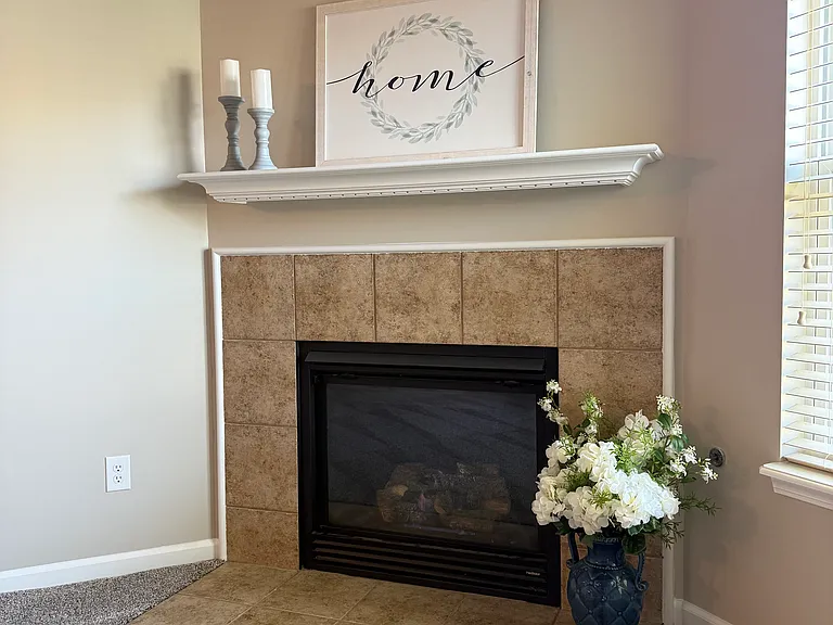 Gas fireplace.