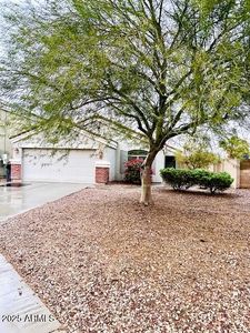 23792 W Pecan Ct, Buckeye, AZ, 85326