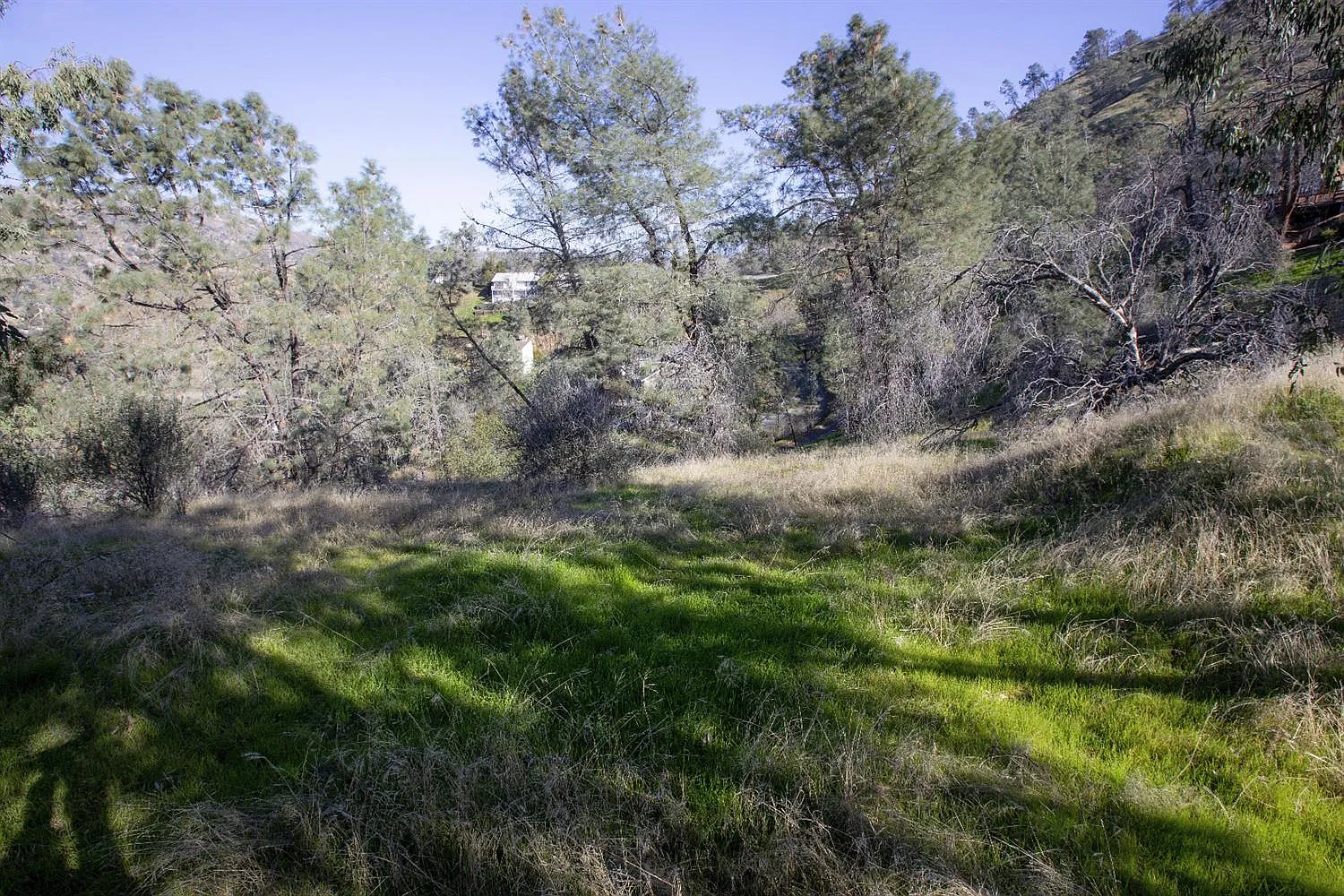 28106 Sky Harbour Rd photo 1