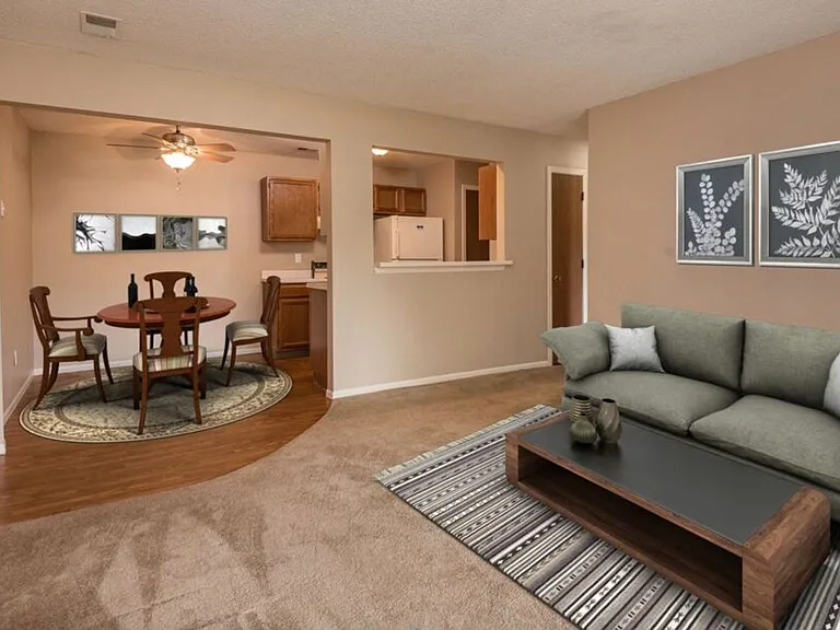 Spring Hill Plaza Apartments — Photo 19
