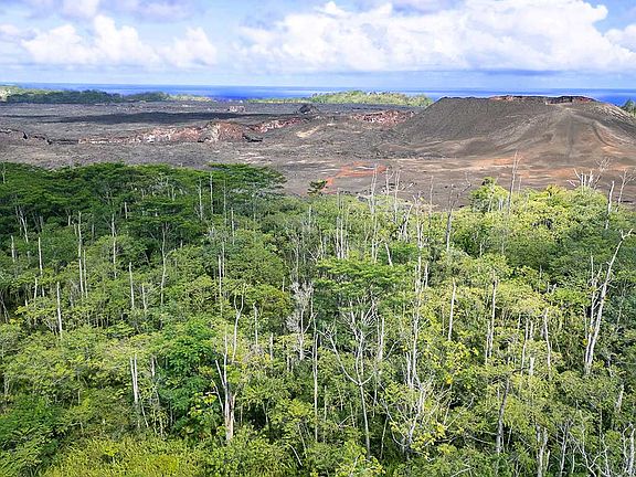 2nd image of Nohea St Lot 58
