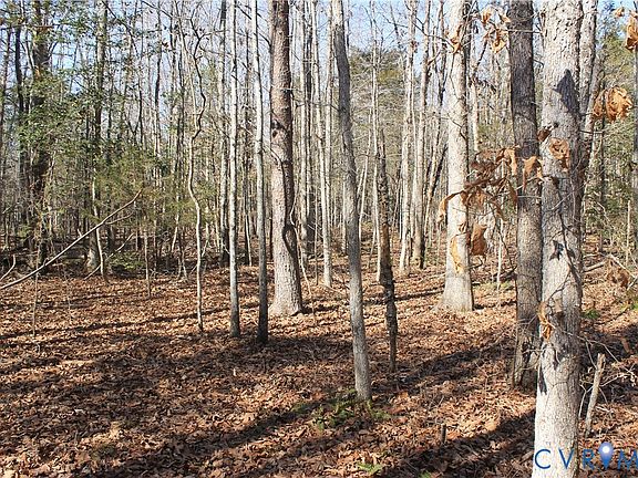 3rd image of 0 Watkins Forest Rd Lot 8