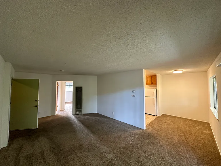 318 Gault St #6 — Photo 6