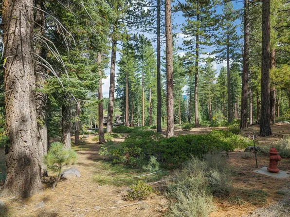 11317 Elle Ellen, Truckee, CA 96161