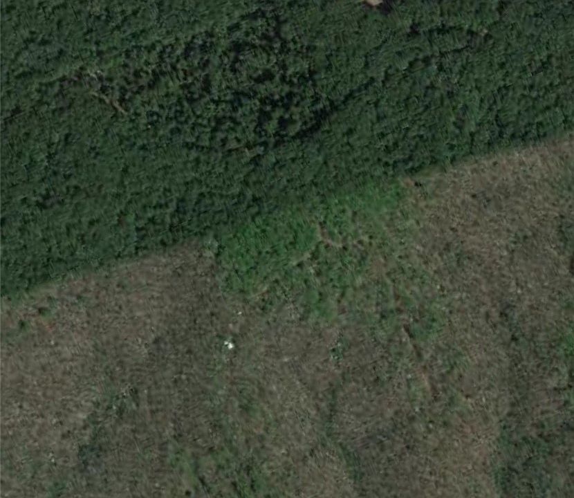 2nd image of 26500 Little Buffalo Rd