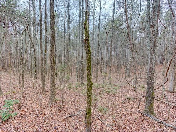 2nd image of 0 Sunshine Rd #10-13