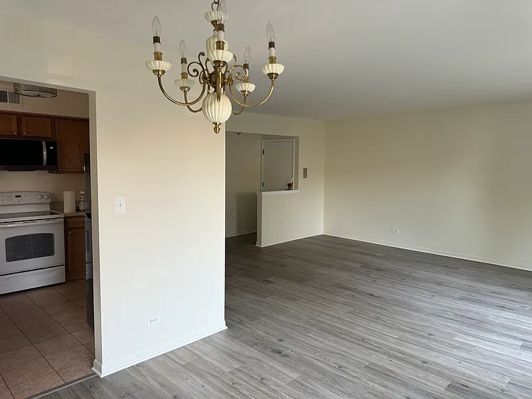 6558 N Richmond St #303 — Photo 10