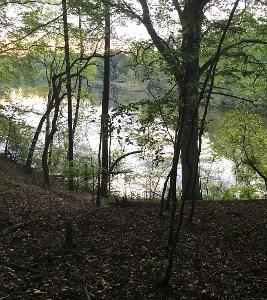 1st image of 705 Lake Yamacutah Dr