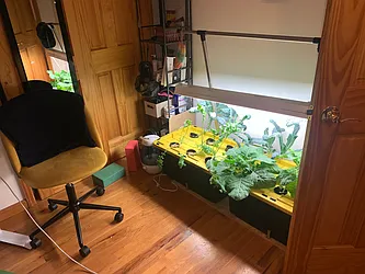 Rented by American Way Real Estate Inc