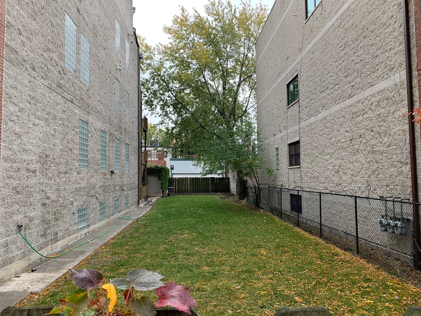 1631 N Oakley Ave, Chicago, IL 60647 | Zillow