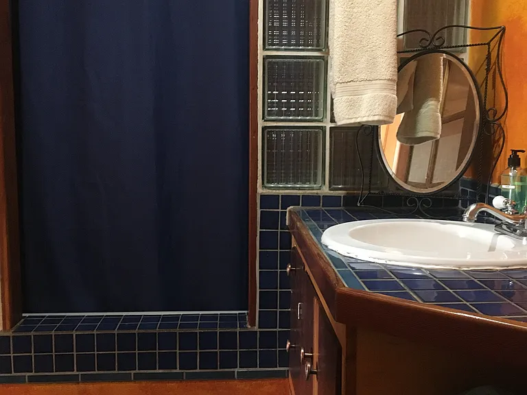 Shower/Tub - downstairs bathroom